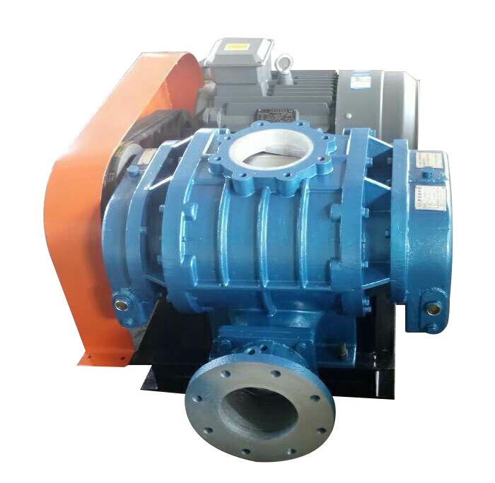 三葉羅茨風(fēng)機(jī)-山東德威爾機(jī)械 三葉羅茨風(fēng)機(jī)-山東德威爾機(jī)械