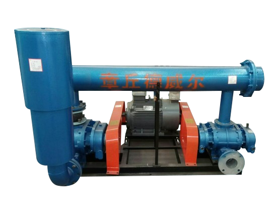 山東章丘德威爾羅茨風(fēng)機